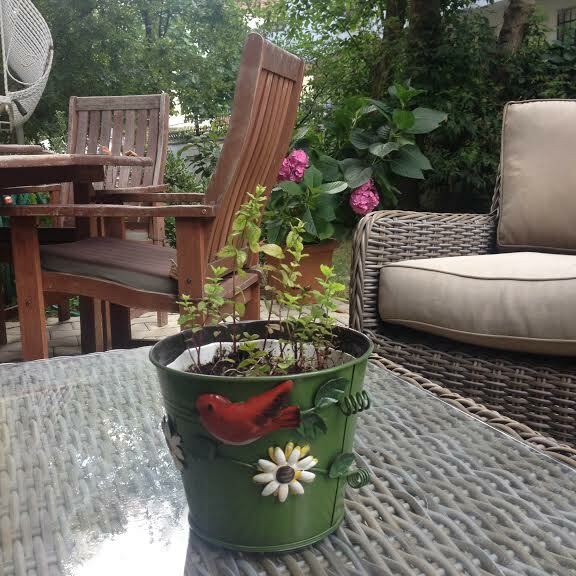 Bed And Breakfast İstanbul 123319