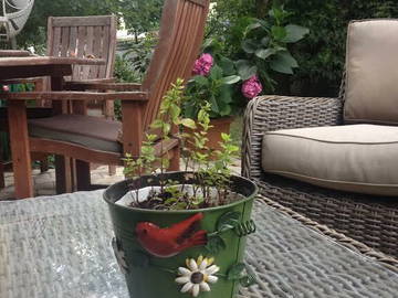 Chambre D'hôte İstanbul 123319-8