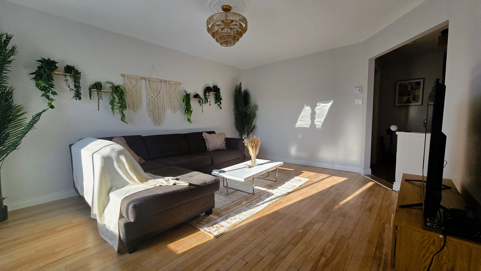 Colocatie Montréal 654293