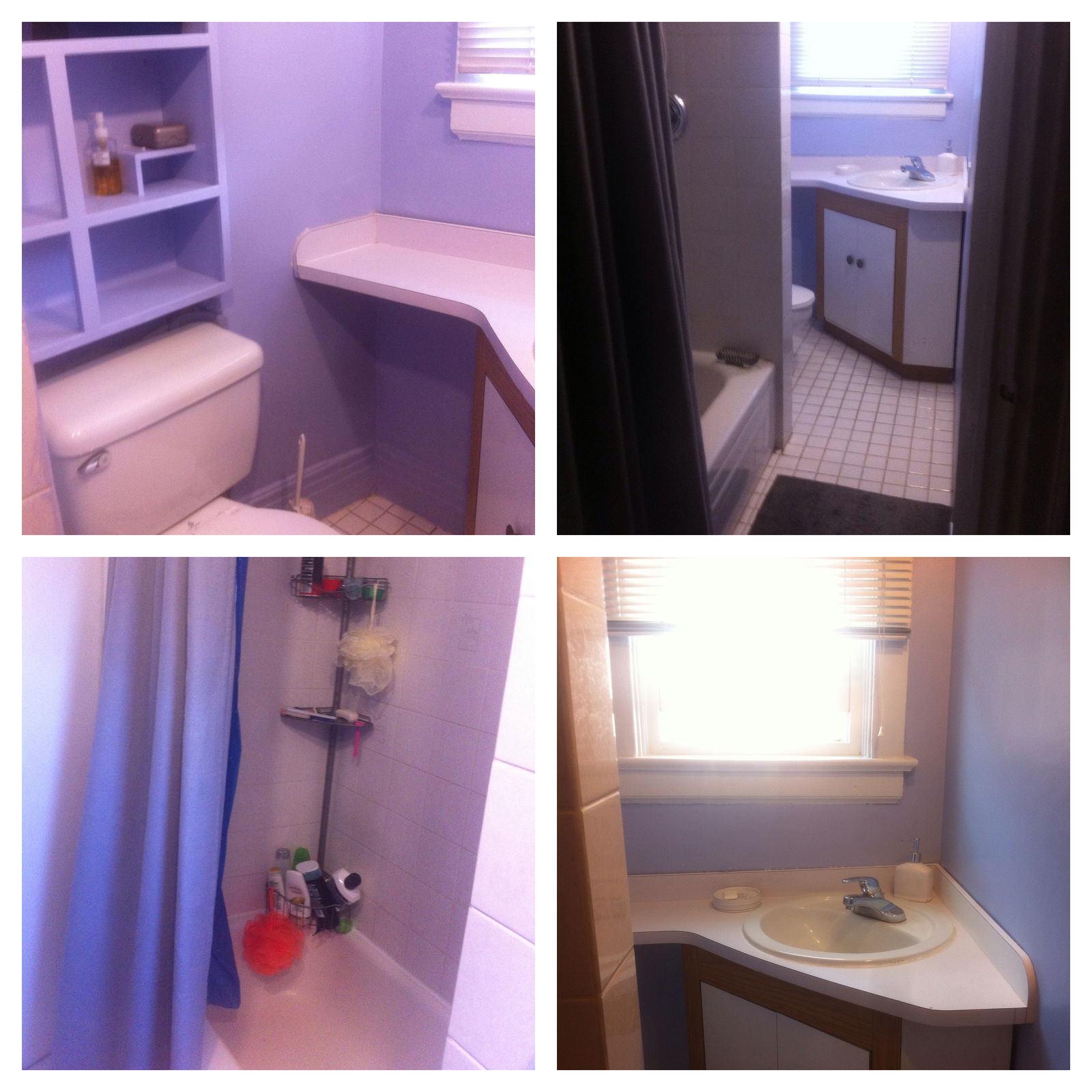 Homestay Toronto 101747