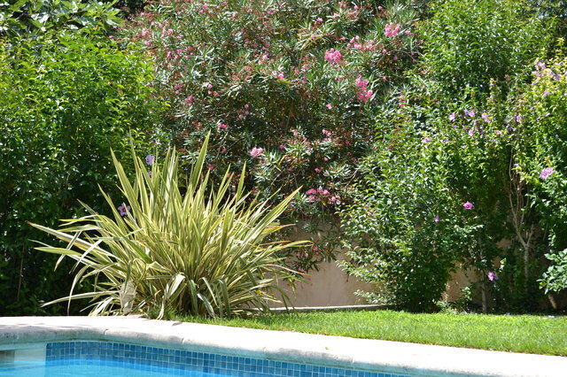 Onofhängeg Studio Marseille 60350