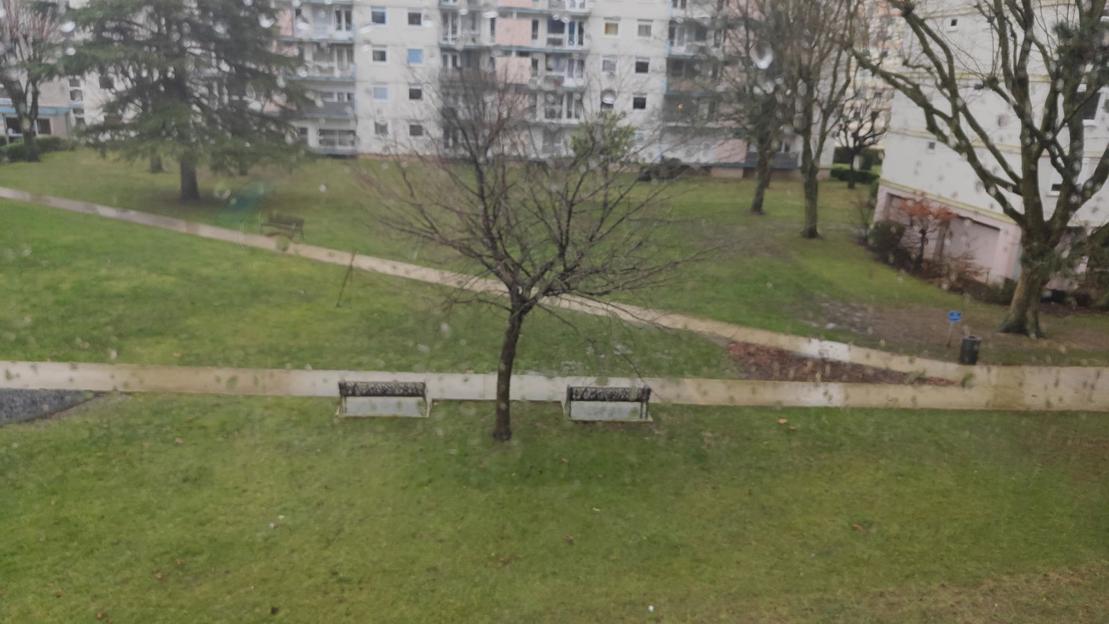 Colocation Mont-Saint-Aignan 483065