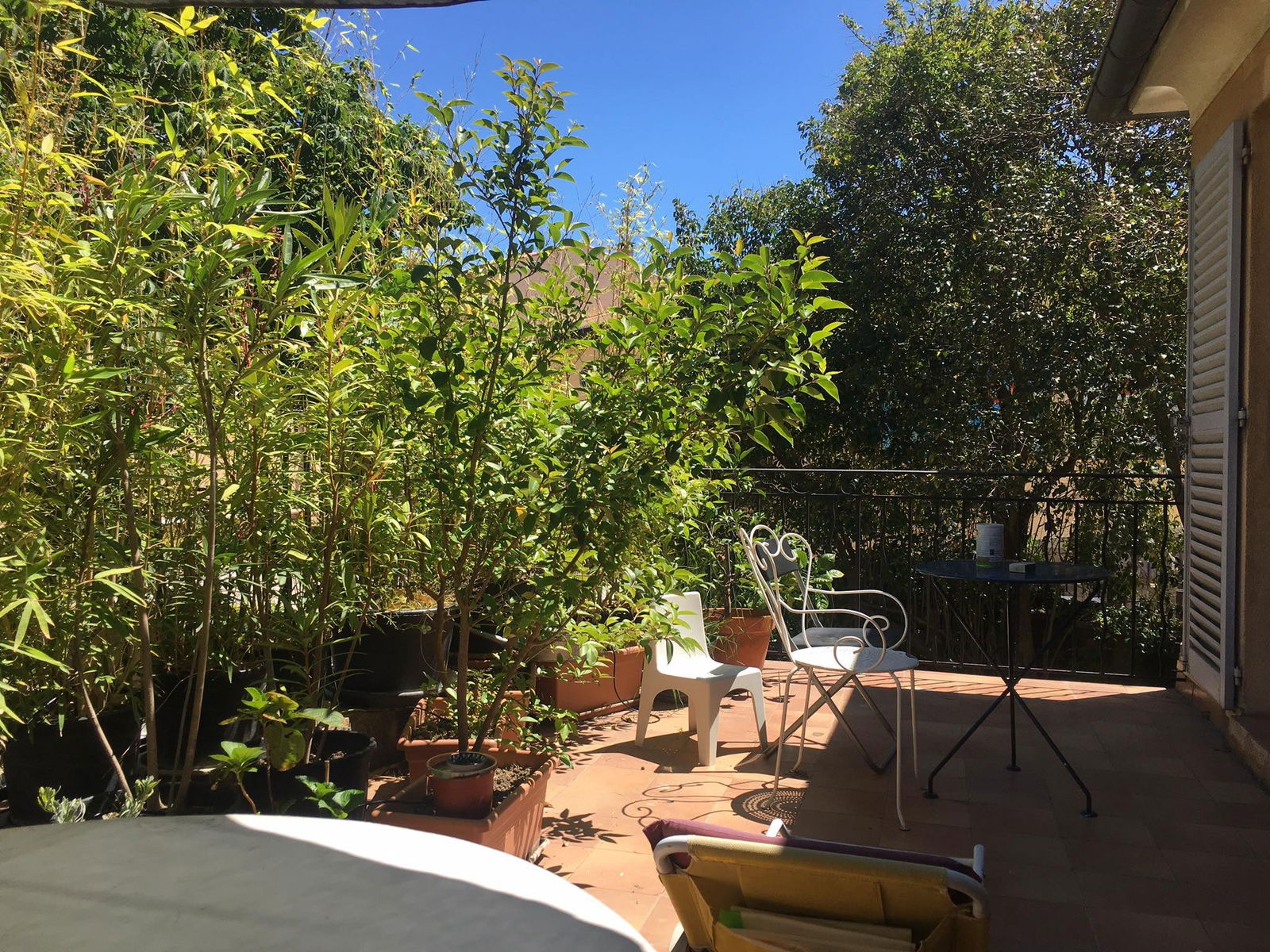 Homestay Aix-en-Provence 384042