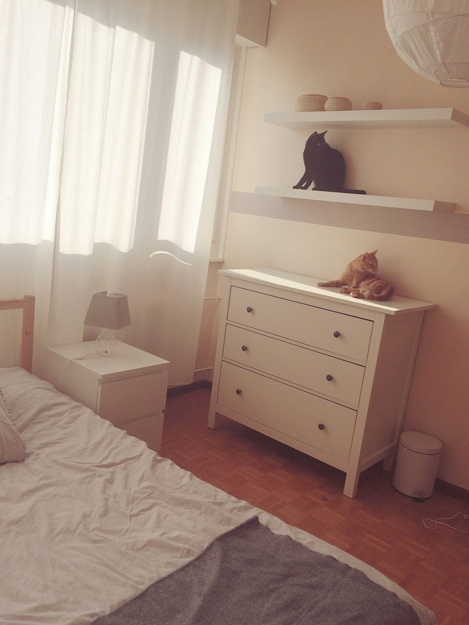 Homestay Genève 146443
