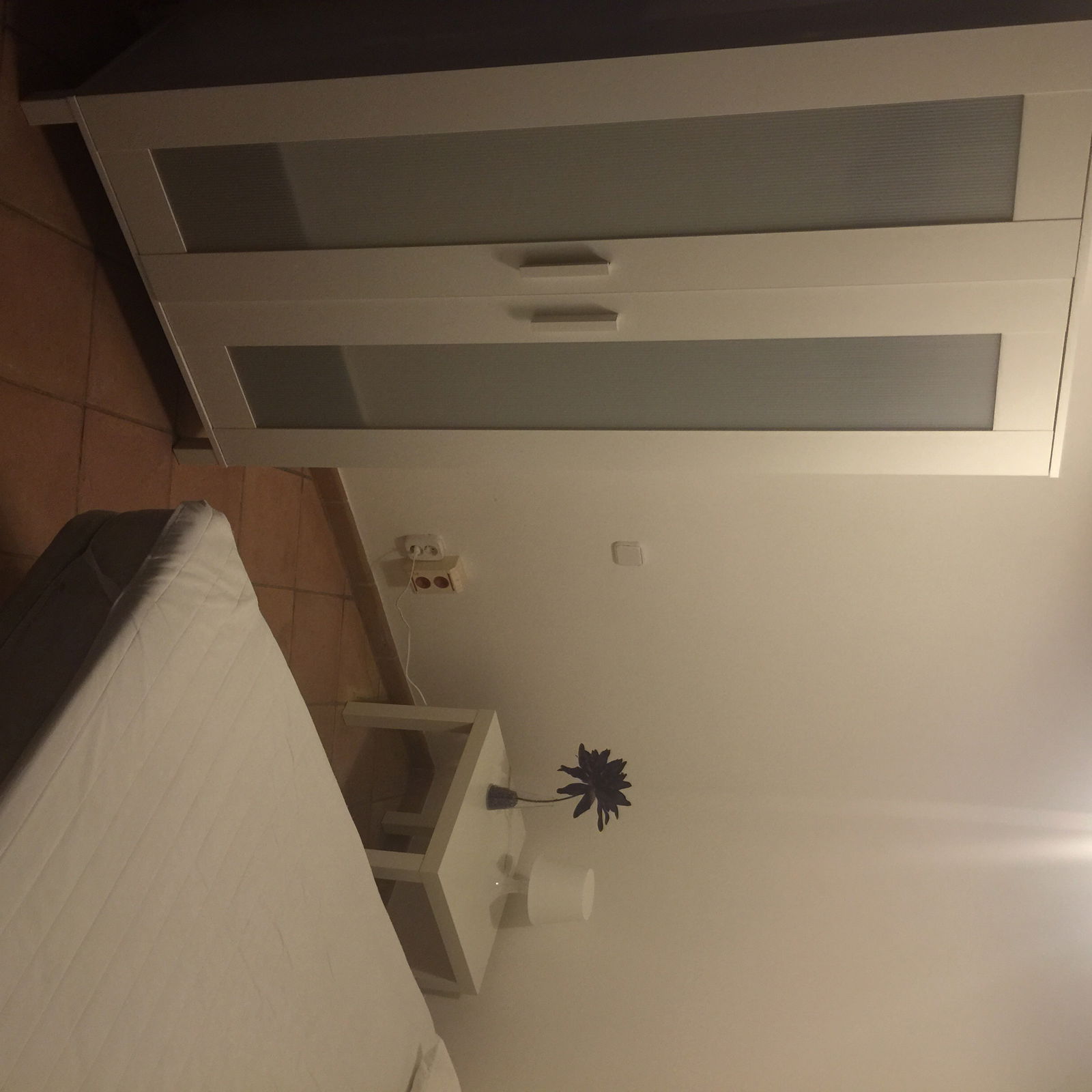 Colocation Palma 114072