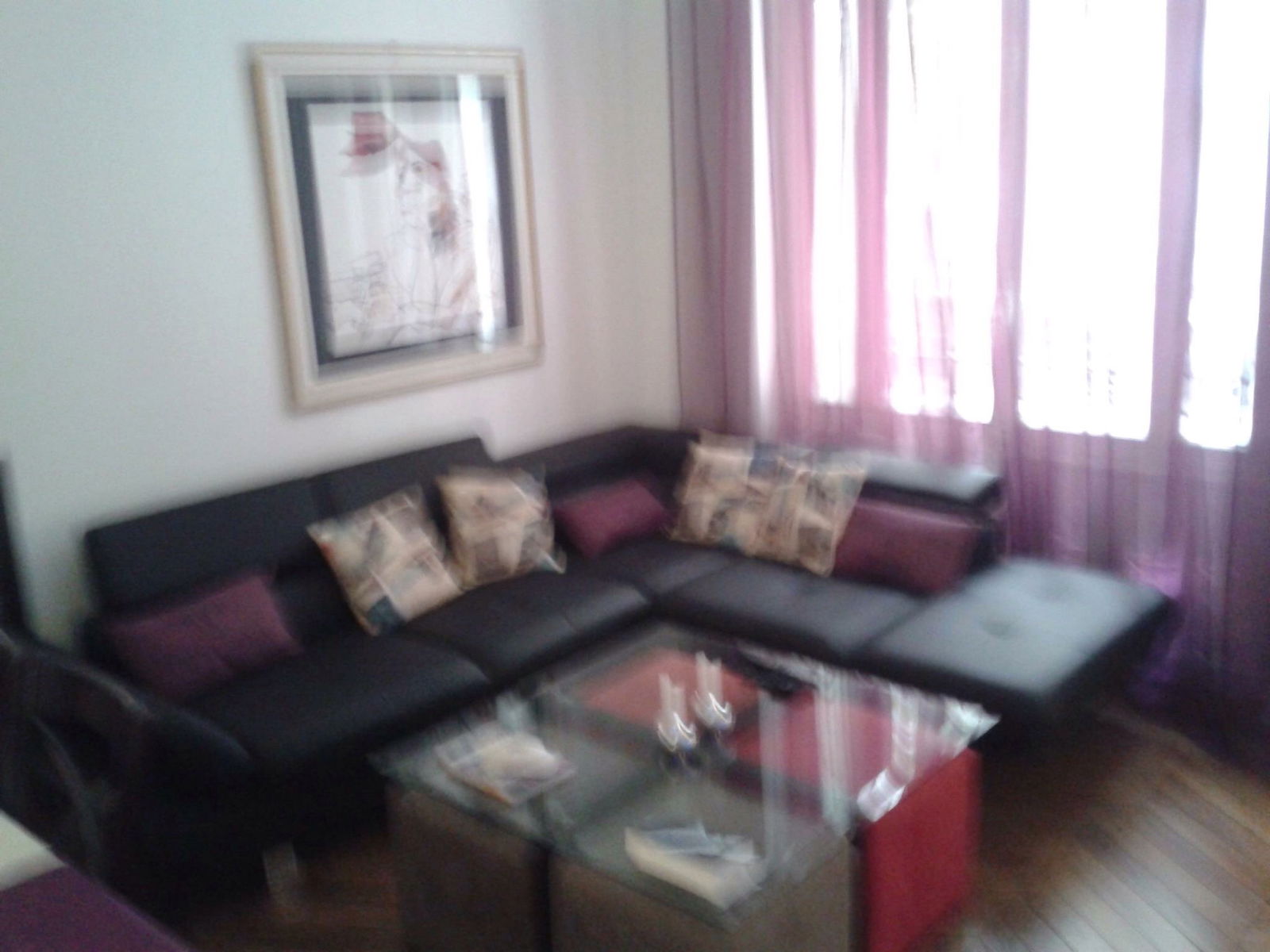 Homestay Paris 111447
