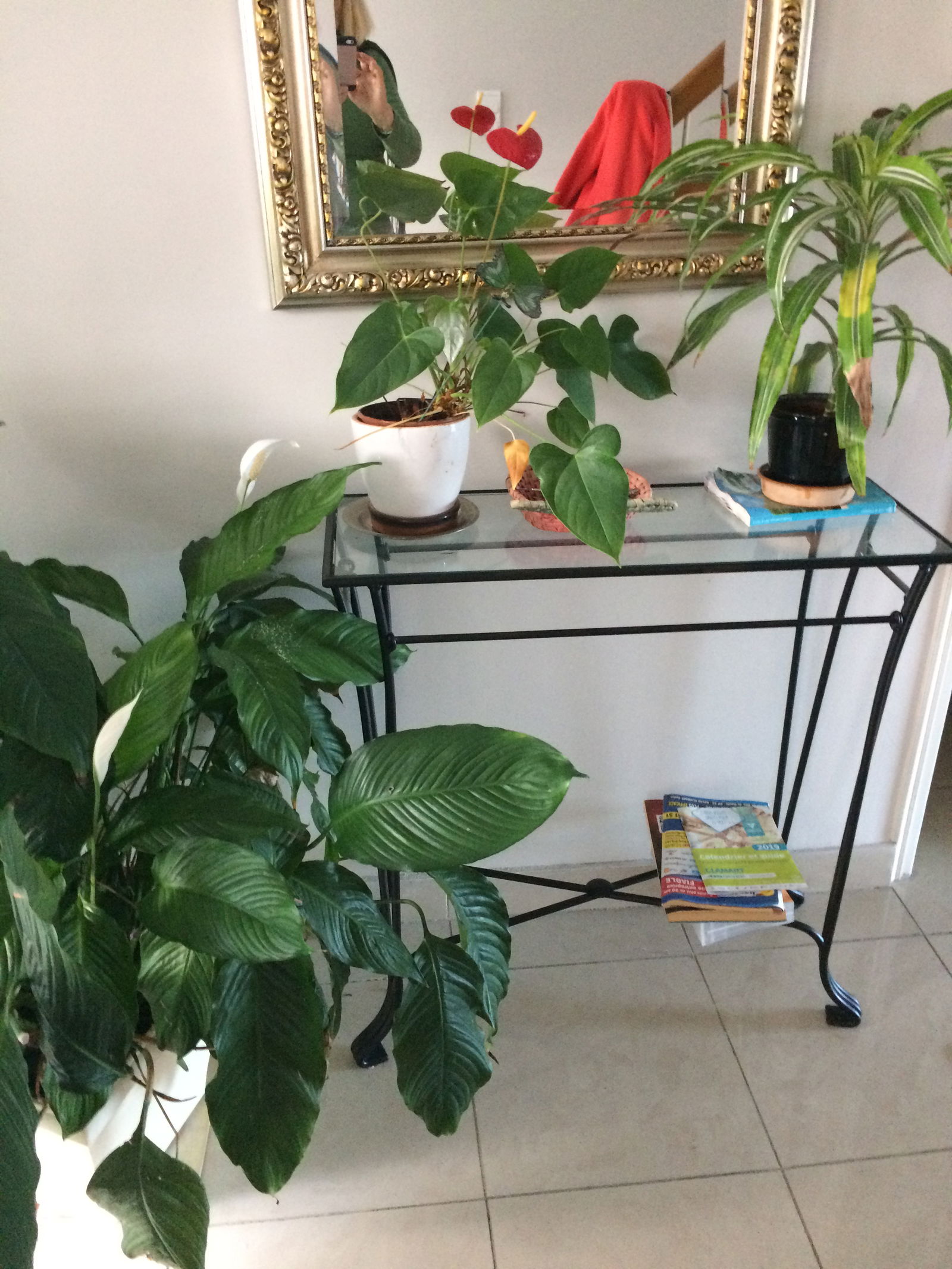 Colocation Clamart 484980