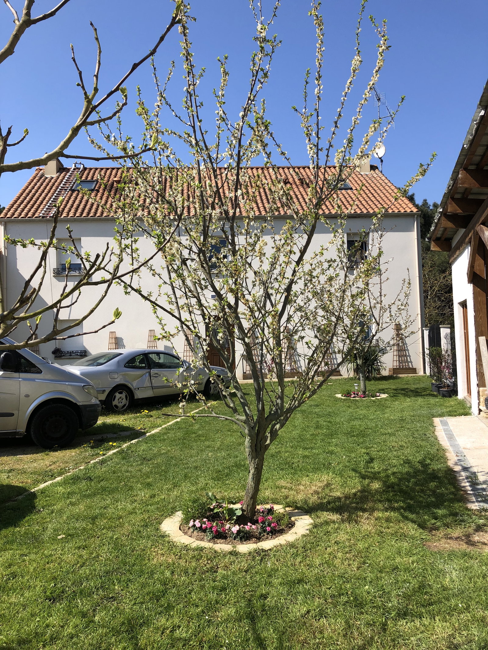 Colocation Nantes 63045