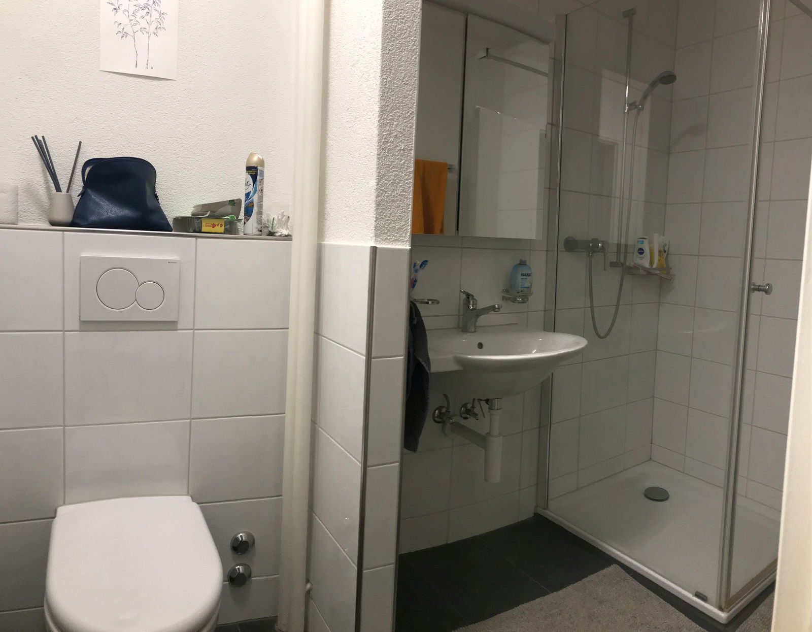 Colocation Dietikon 246320