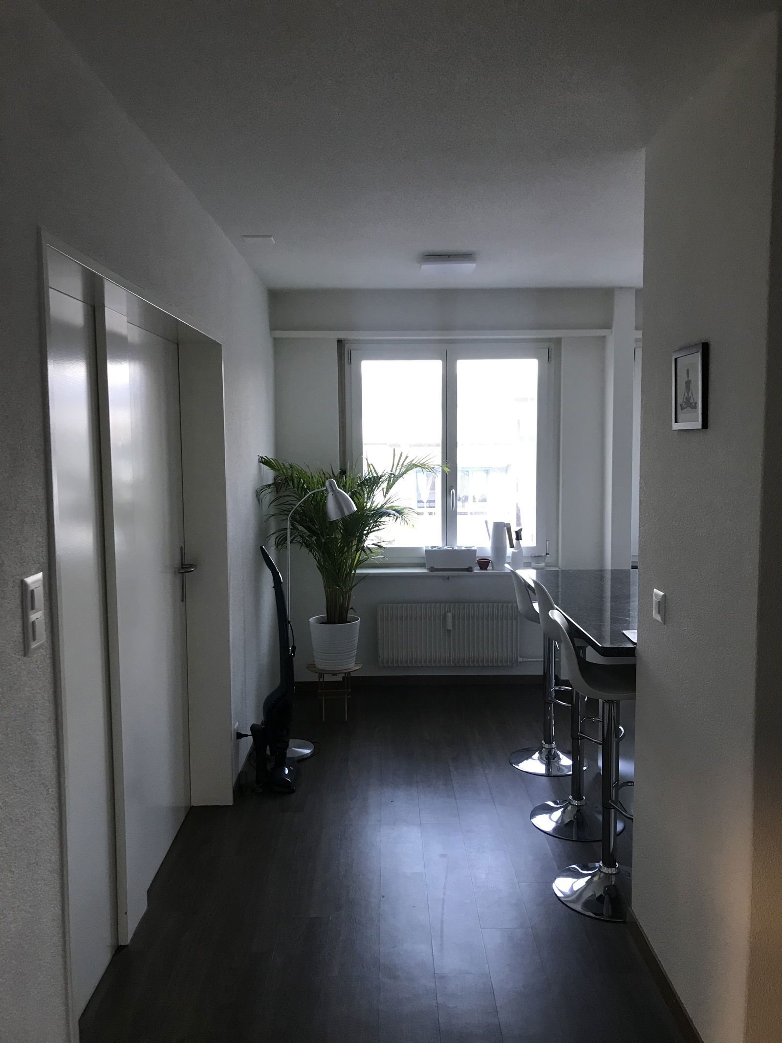 Colocation Dietikon 246320