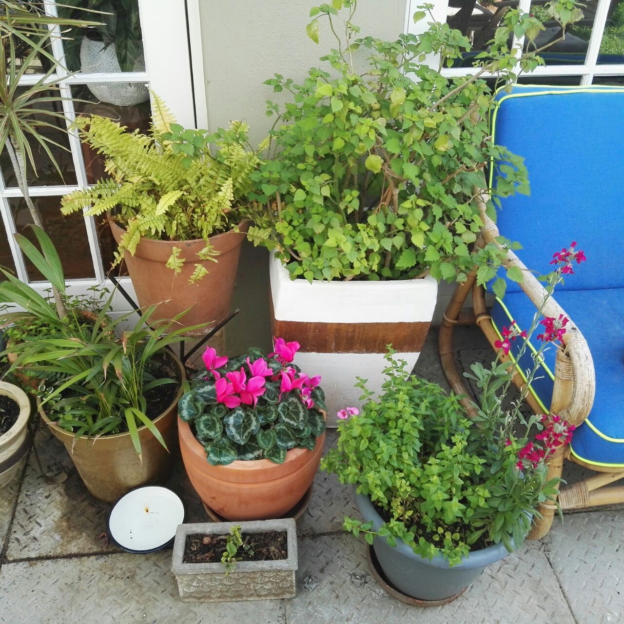 Coliving Cape Town 390088