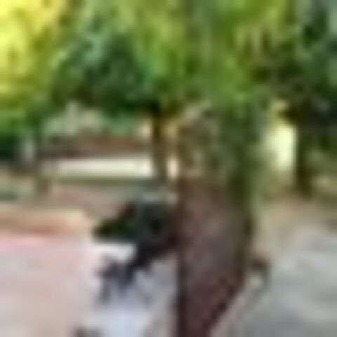 Colocation Montauban 60212