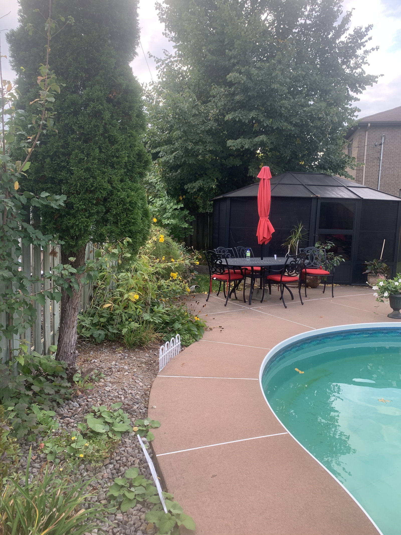 Gaascht Zëmmeren Longueuil 245969