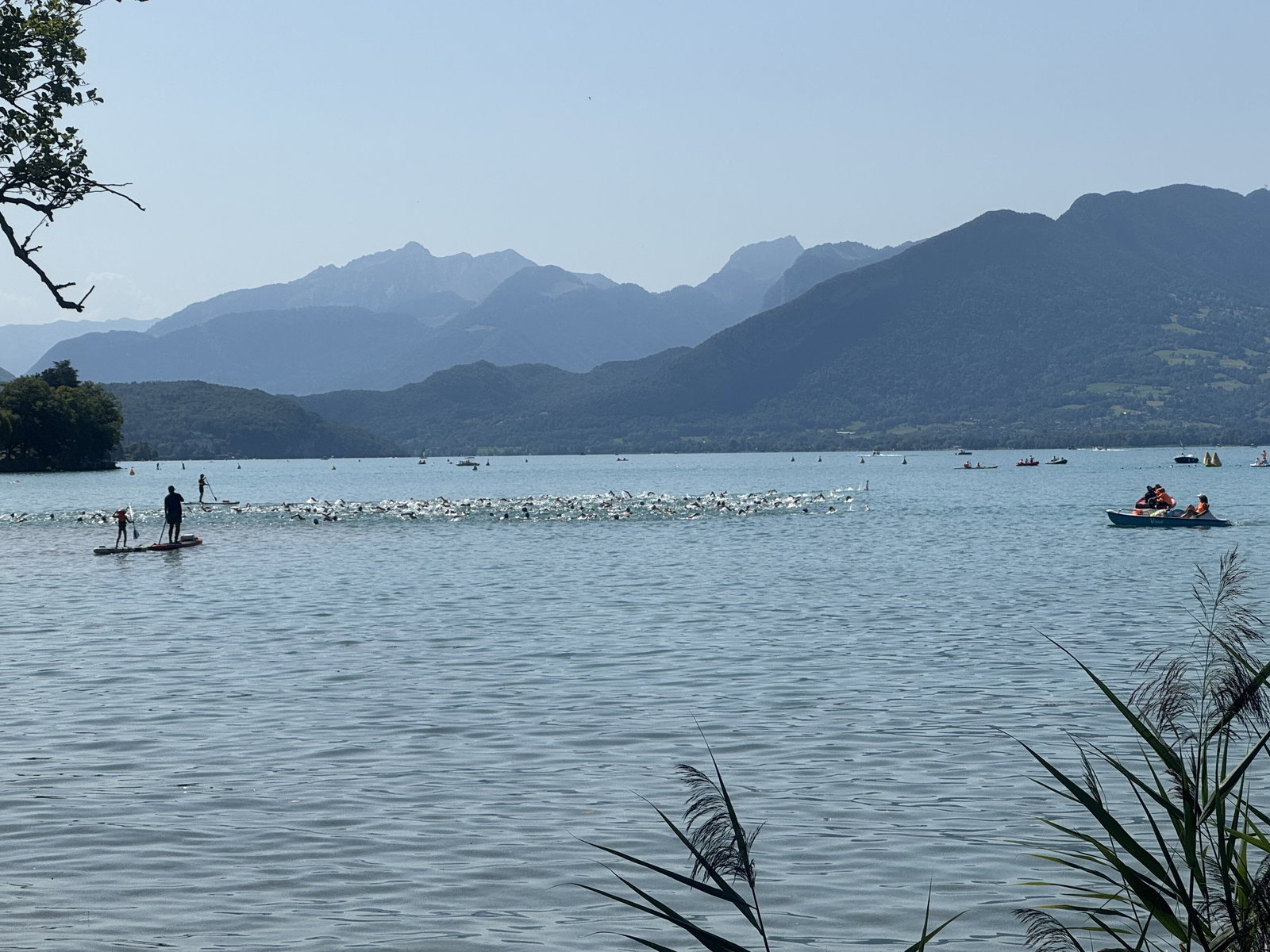 Homestay Annecy 590013
