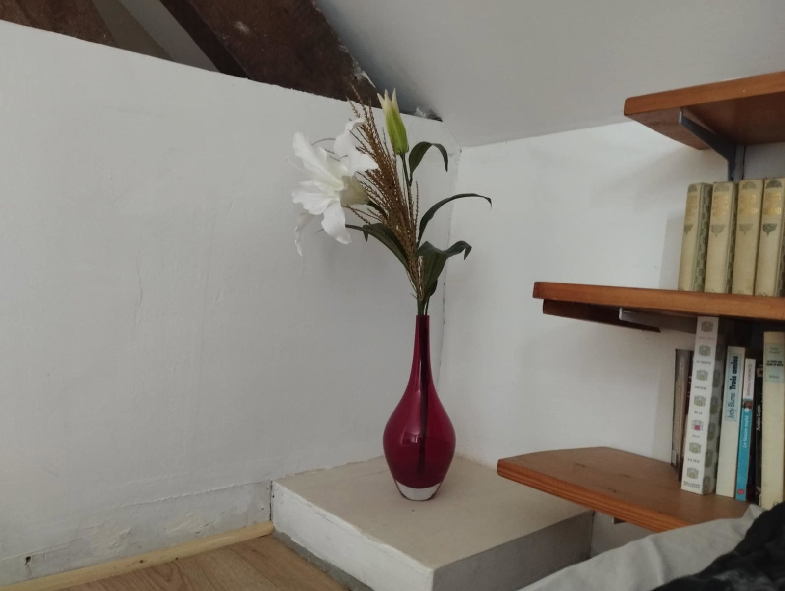 Homestay Wavre 555463