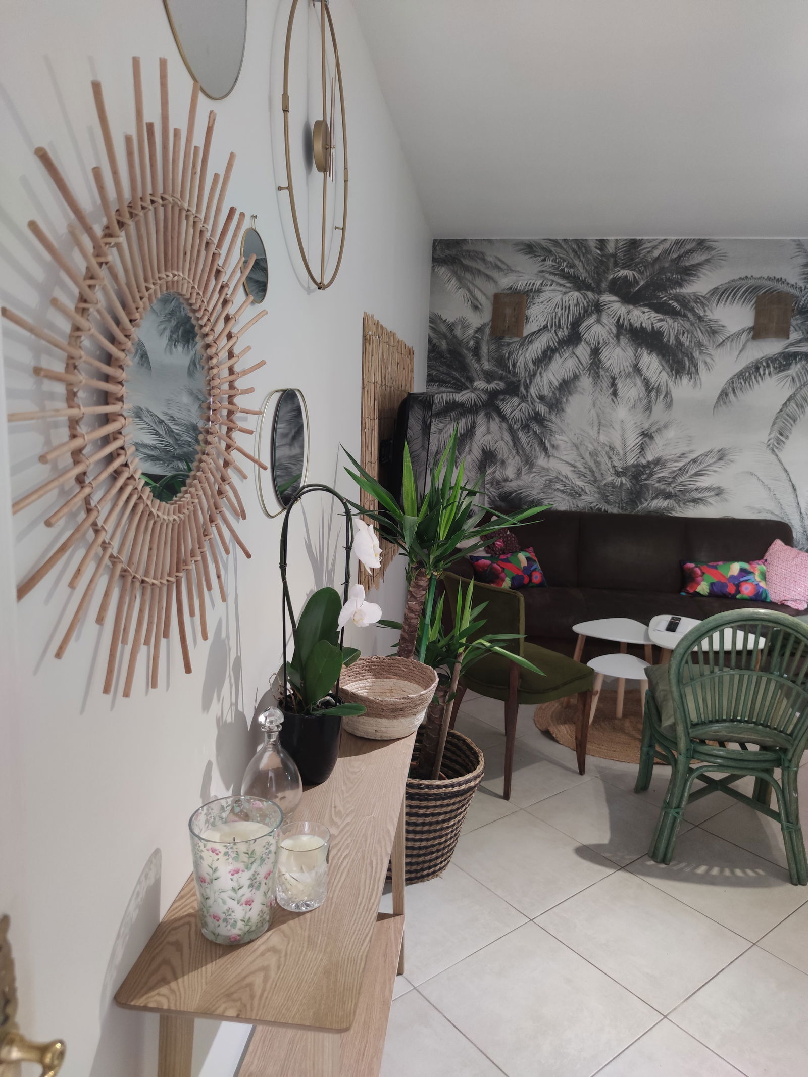 Colocatie Toulouse 250225