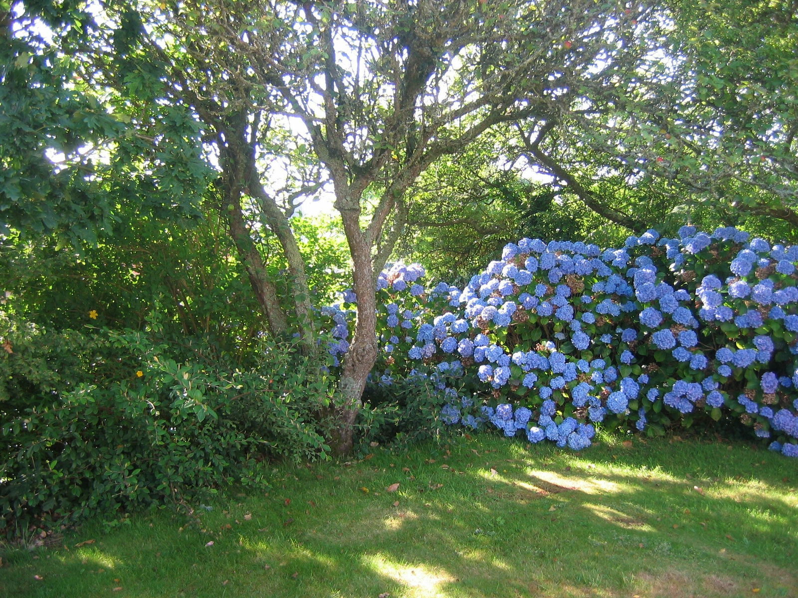 Gästezimmer Brélès 74103