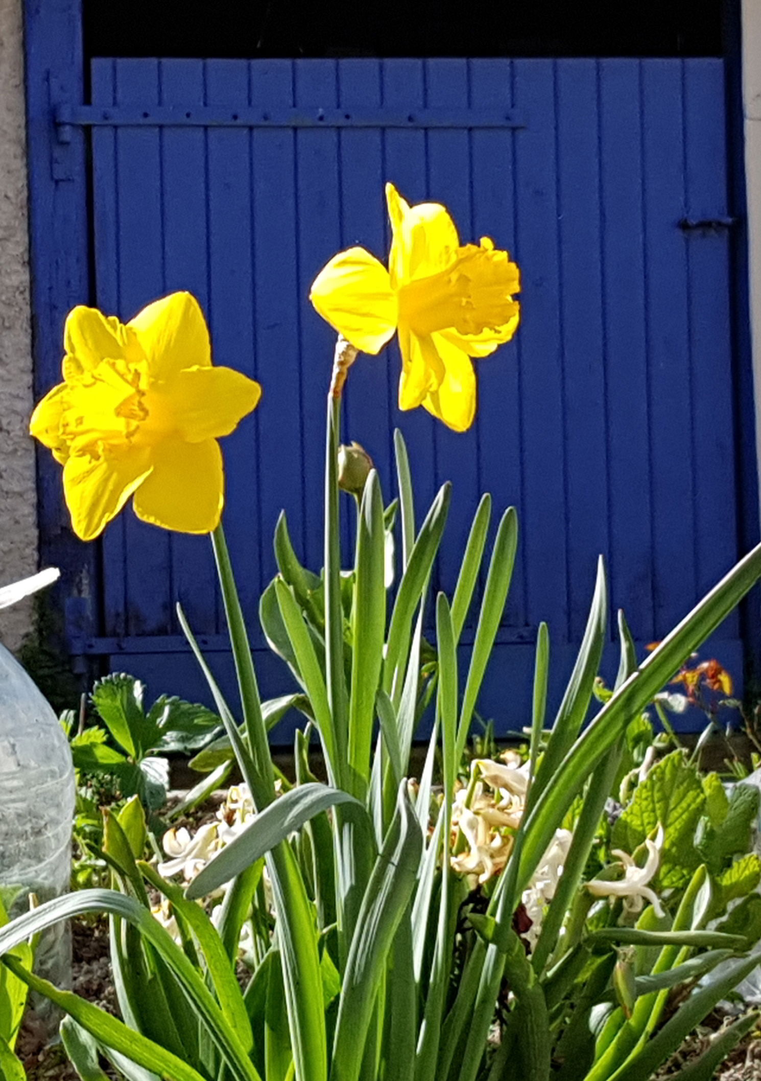 Gastfamilie Mont-Saint-Jean 198159