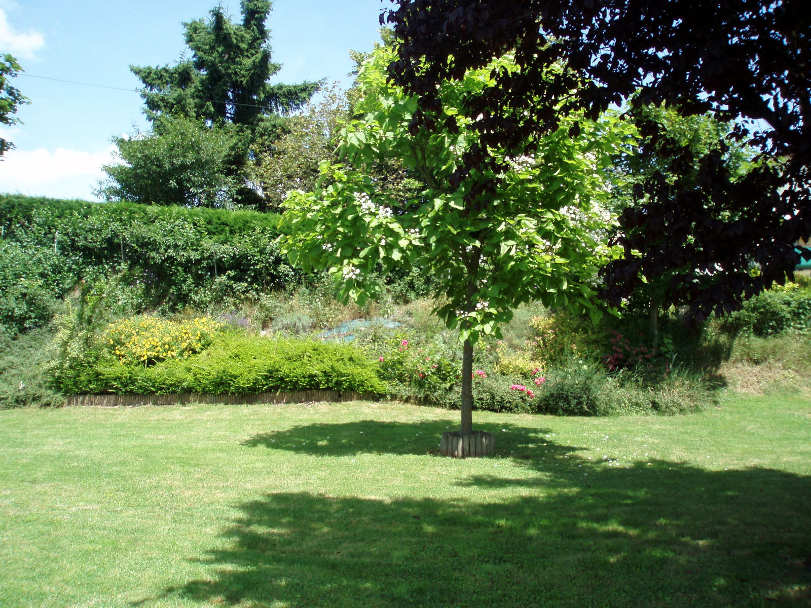 Unabhängiges Studio Torcy 263714