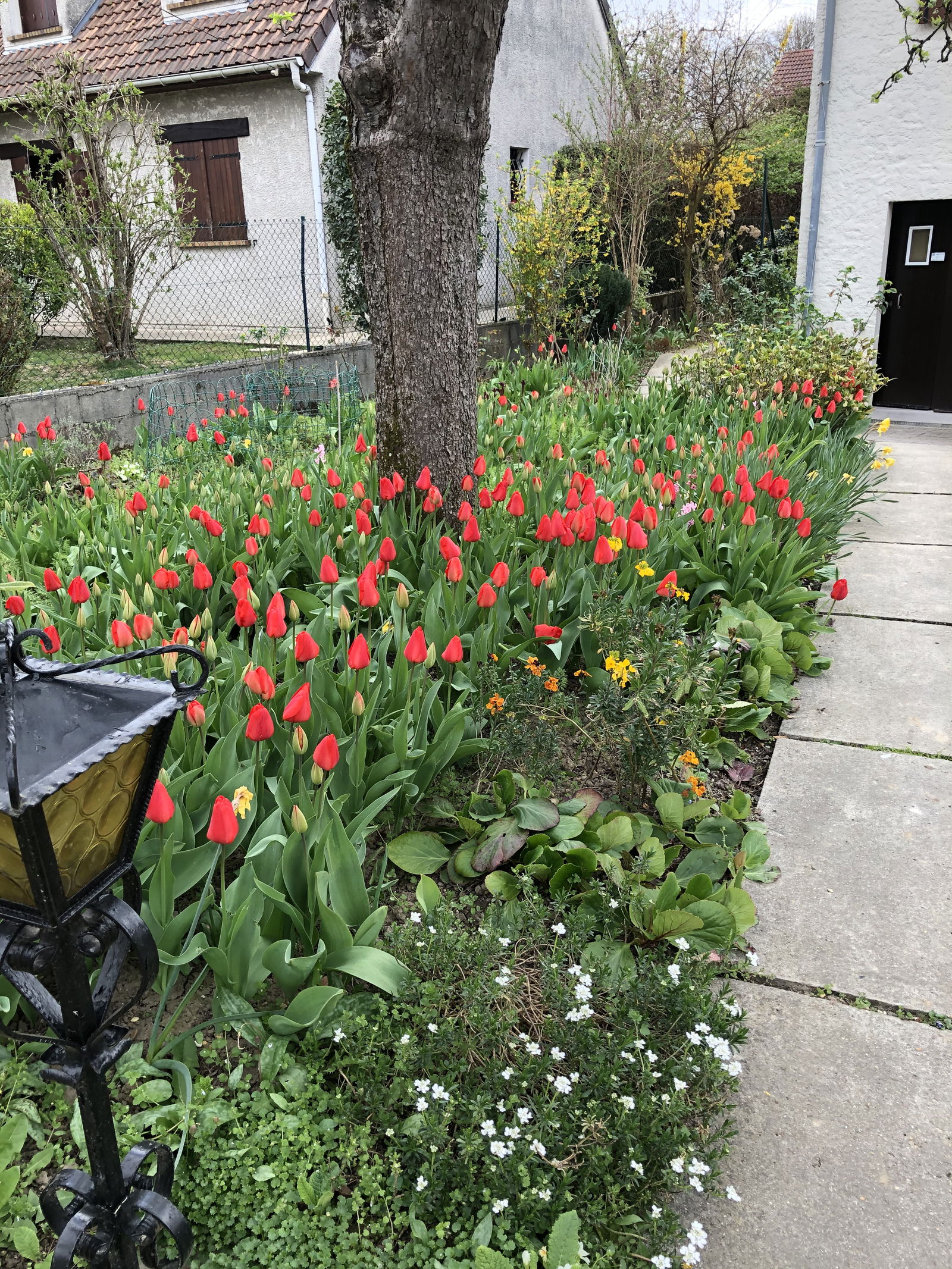 Gastfamilie Gretz-Armainvilliers 269365