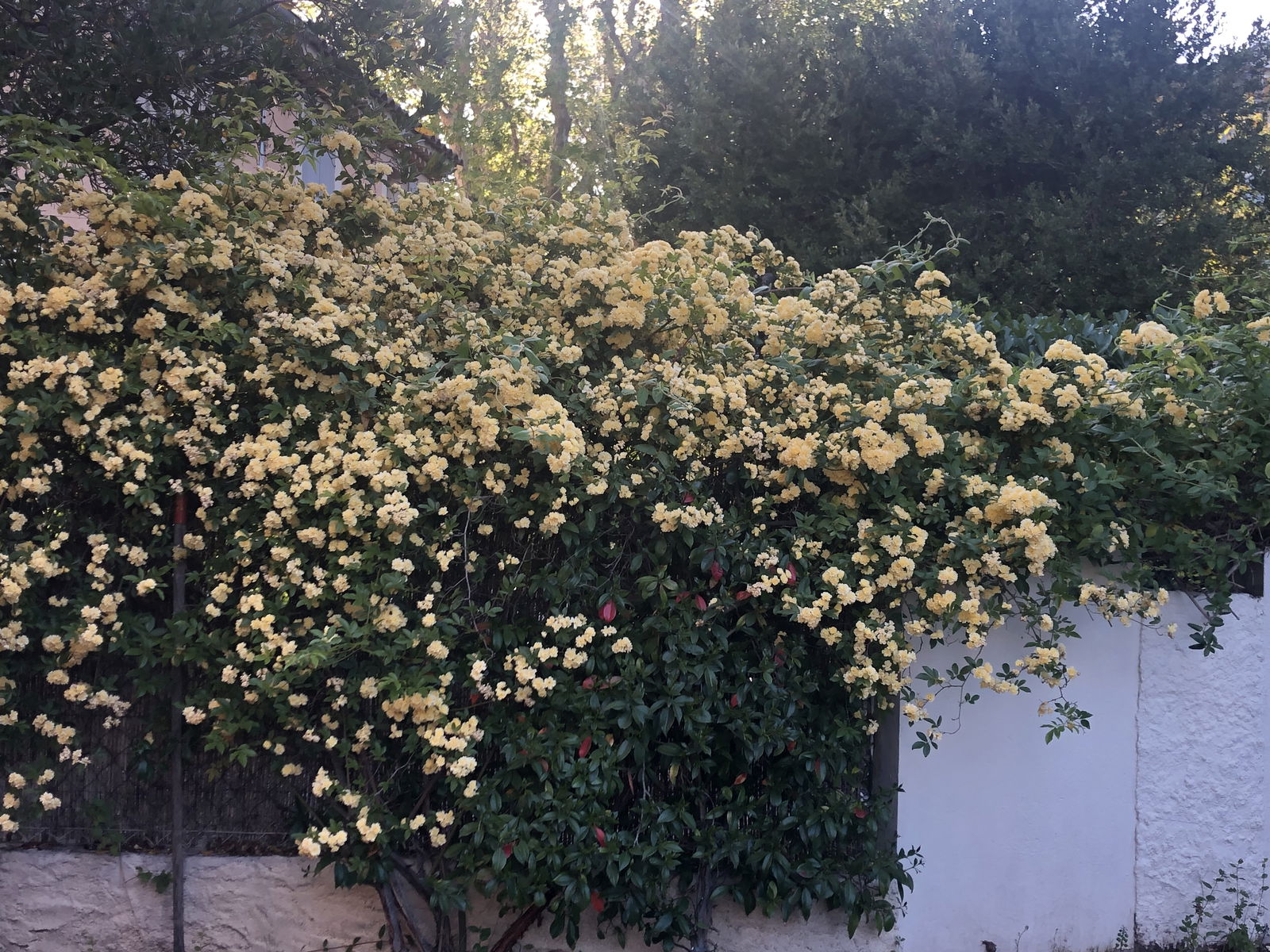 Gastfamilie Aix-en-Provence 414782