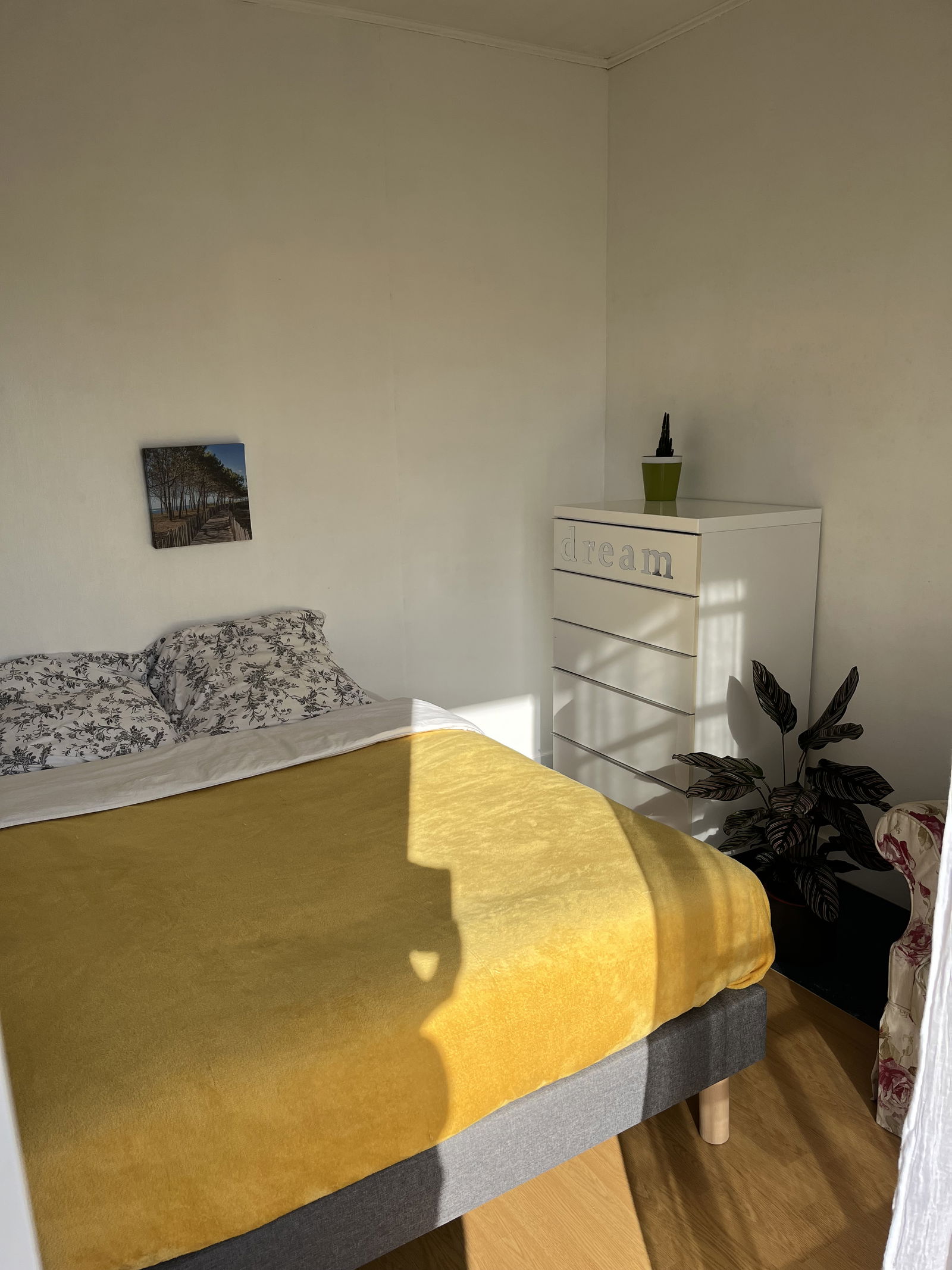 Gastfamilie Pessac 338804
