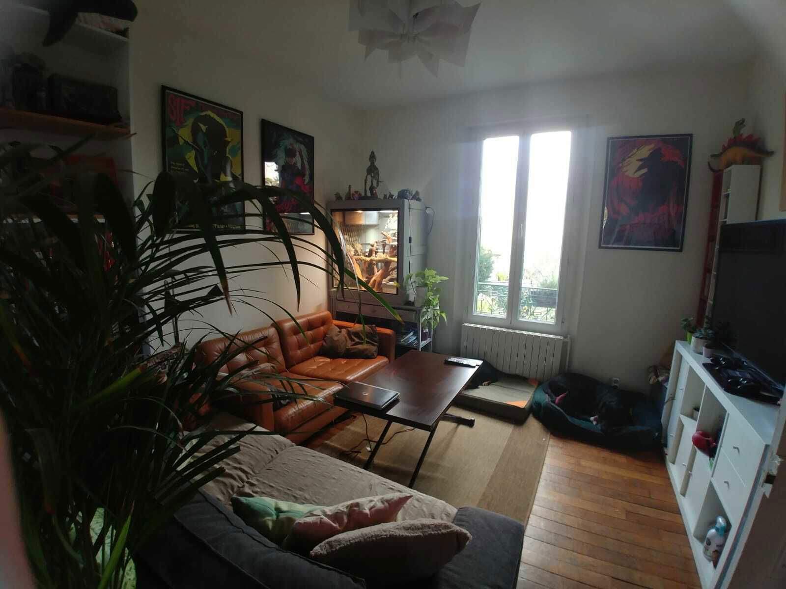 Gastfamilie Montgeron 243563