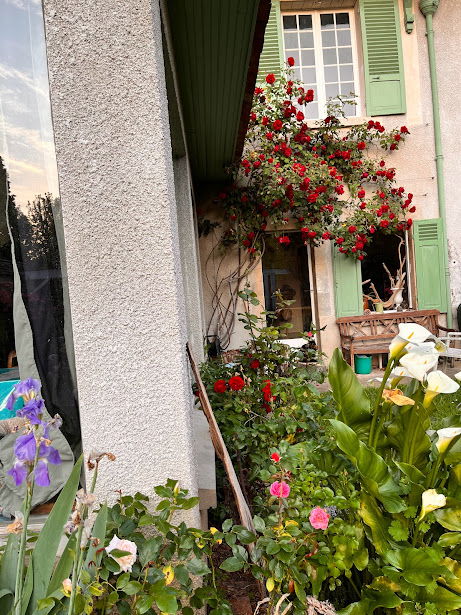 Gastfamilie Seine-Port 357837