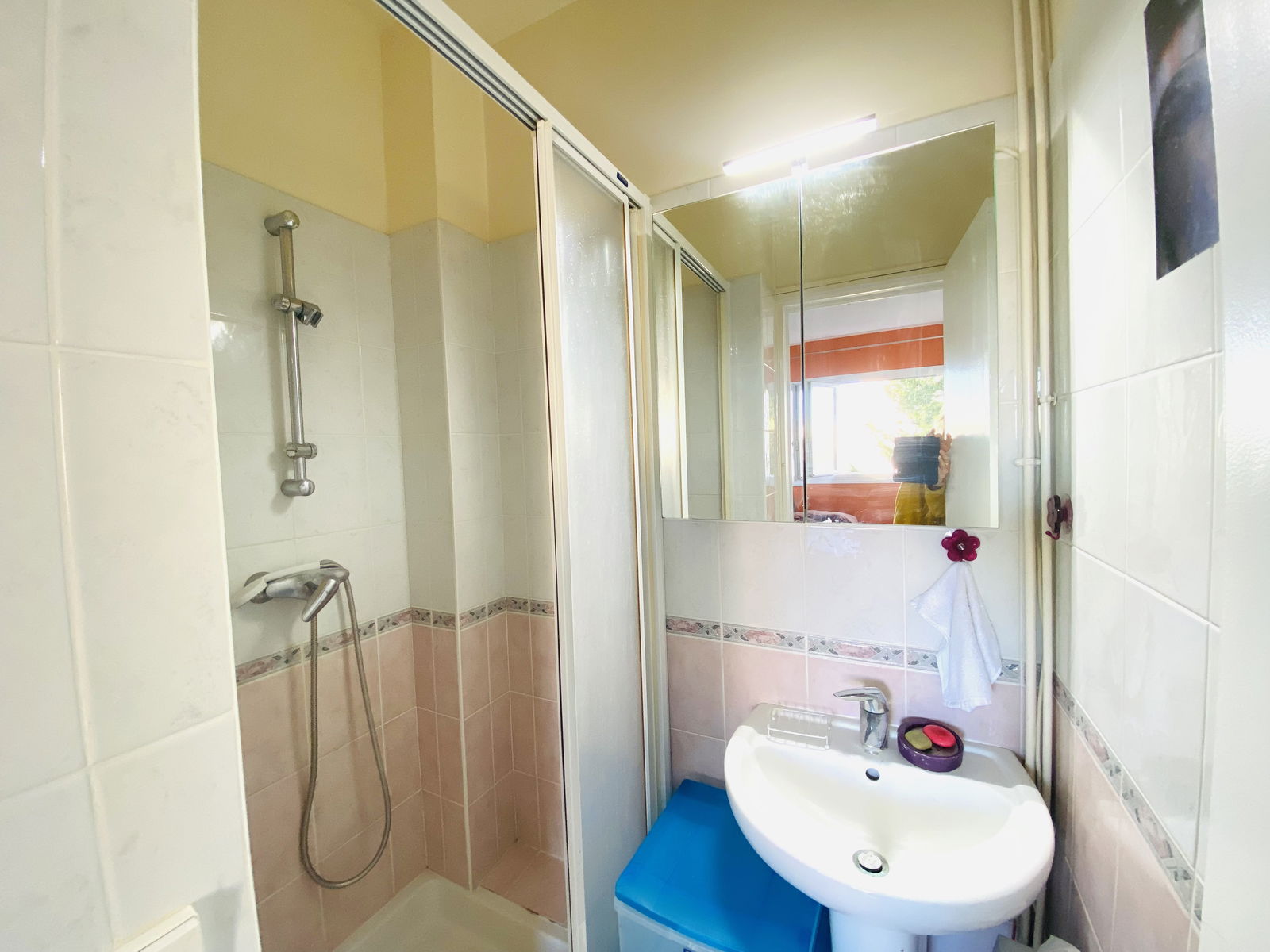 Gastfamilie Saint-Germain-en-Laye 456596