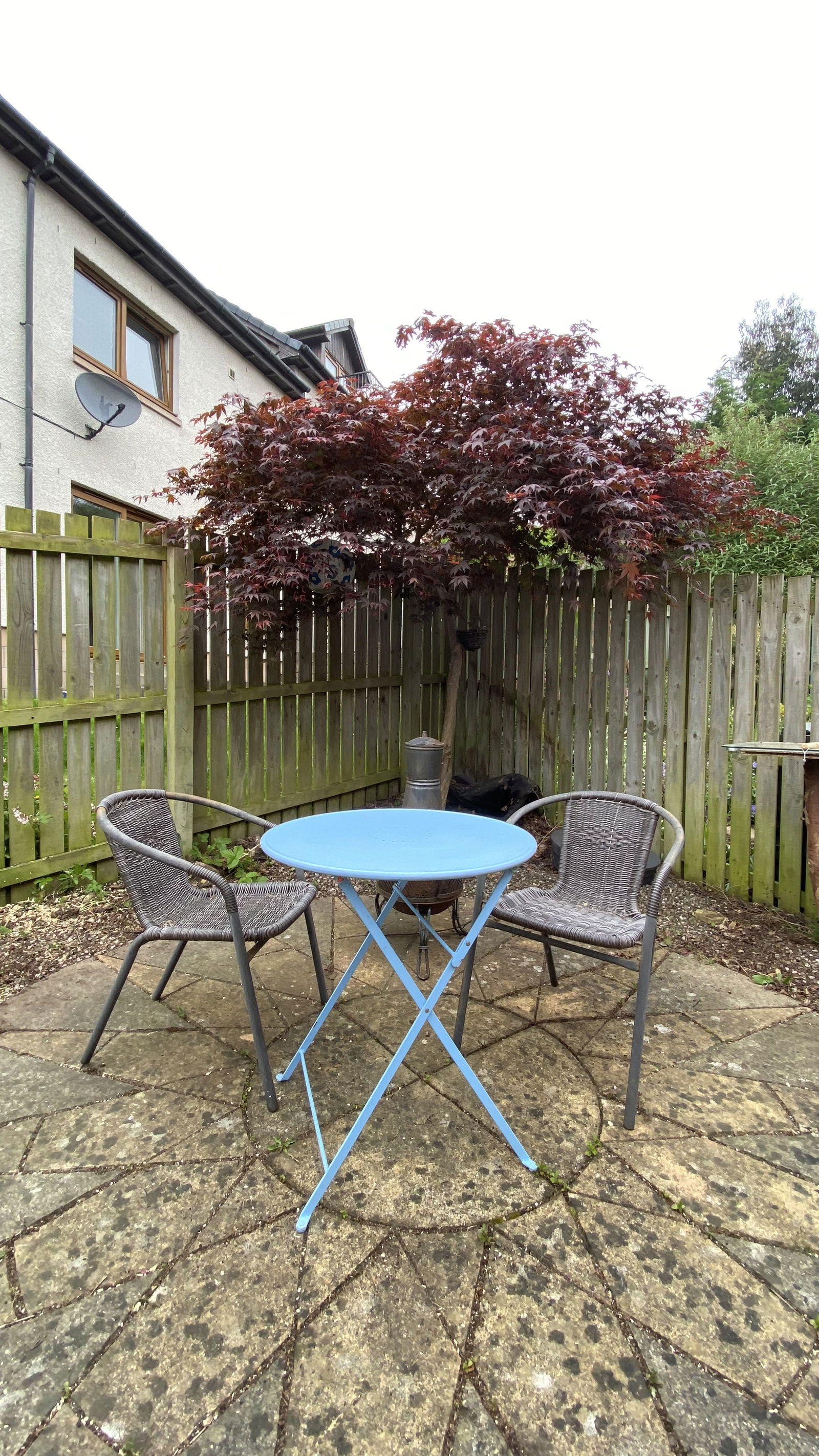 Gastfamilie Scotland 266853