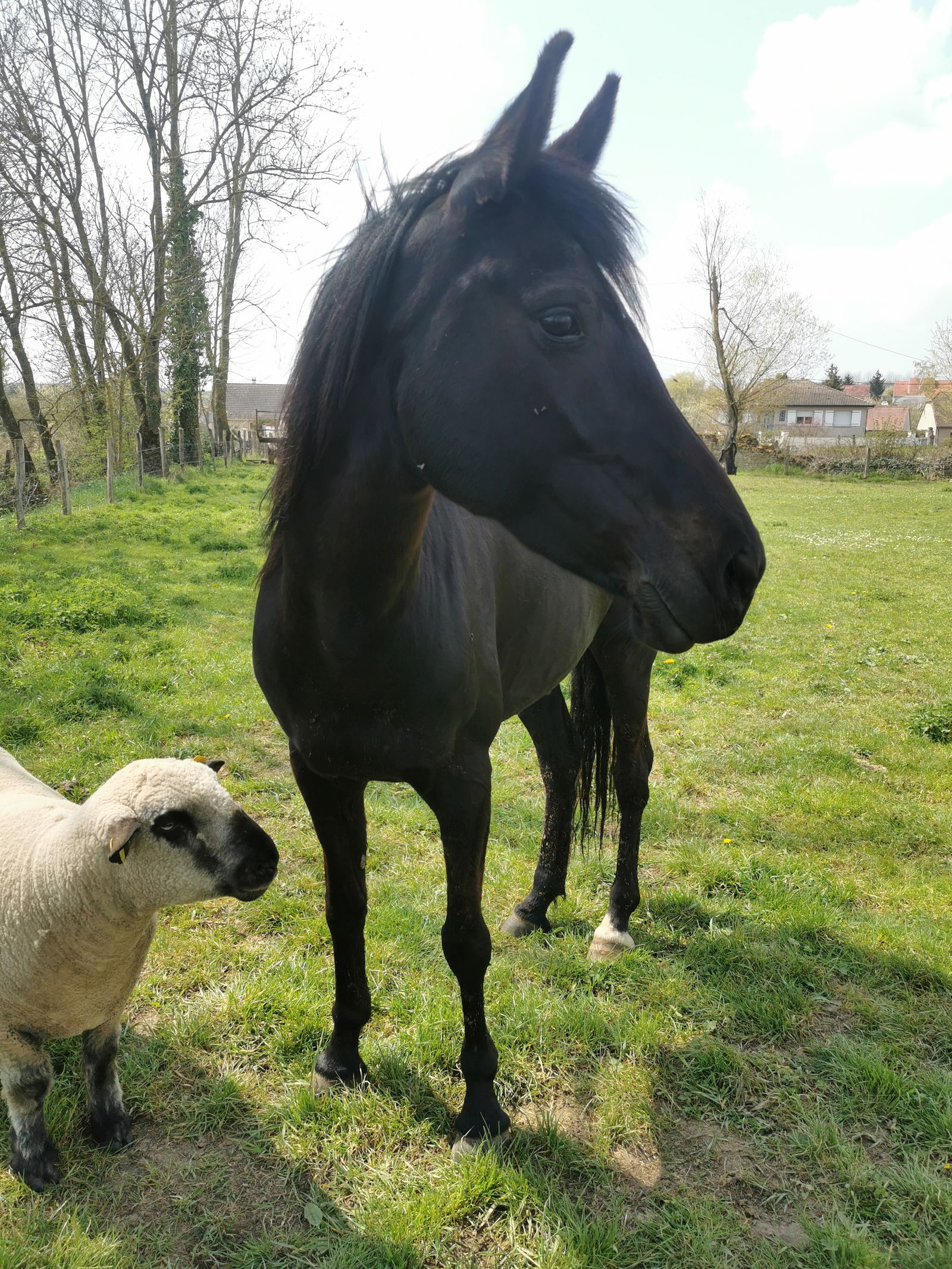 Gastfamilie Cerville 223485