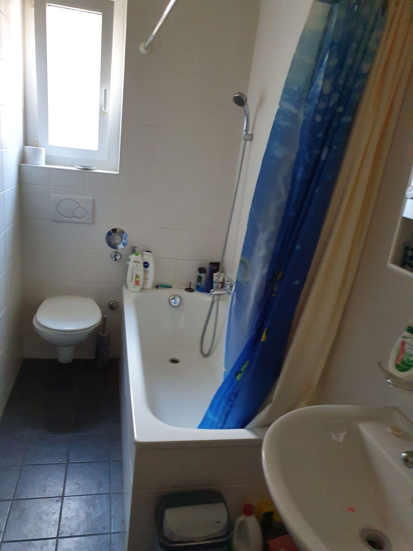 Homestay Lausanne 239677