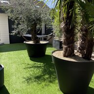 Coliving Ambilly 363910