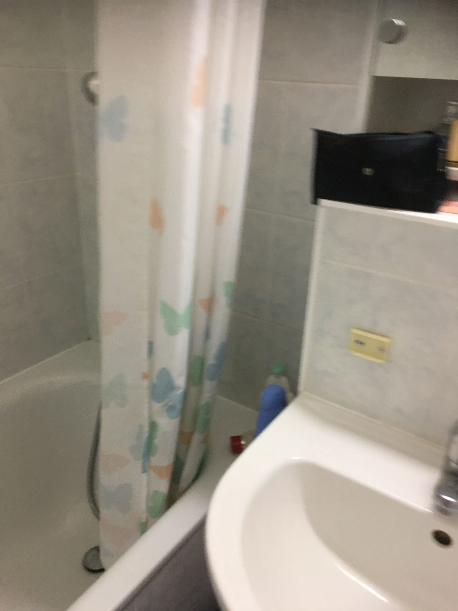 Homestay Meyrin 236343