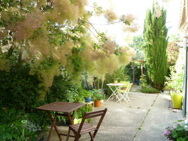Homestay Montpellier 119489