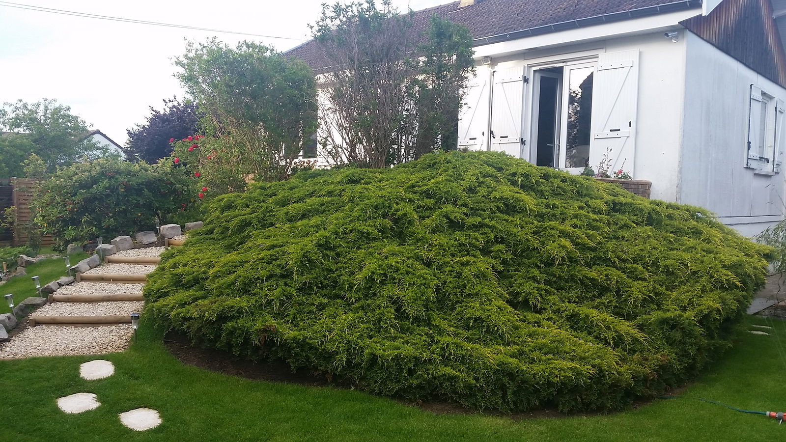 Homestay Conflans-Sainte-Honorine 225400