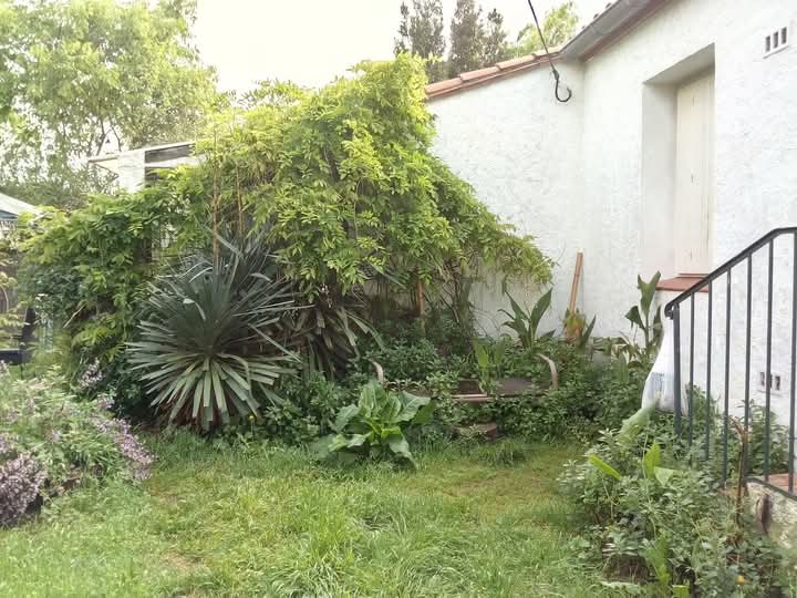 Unabhängiges Studio Le Boulou 526968