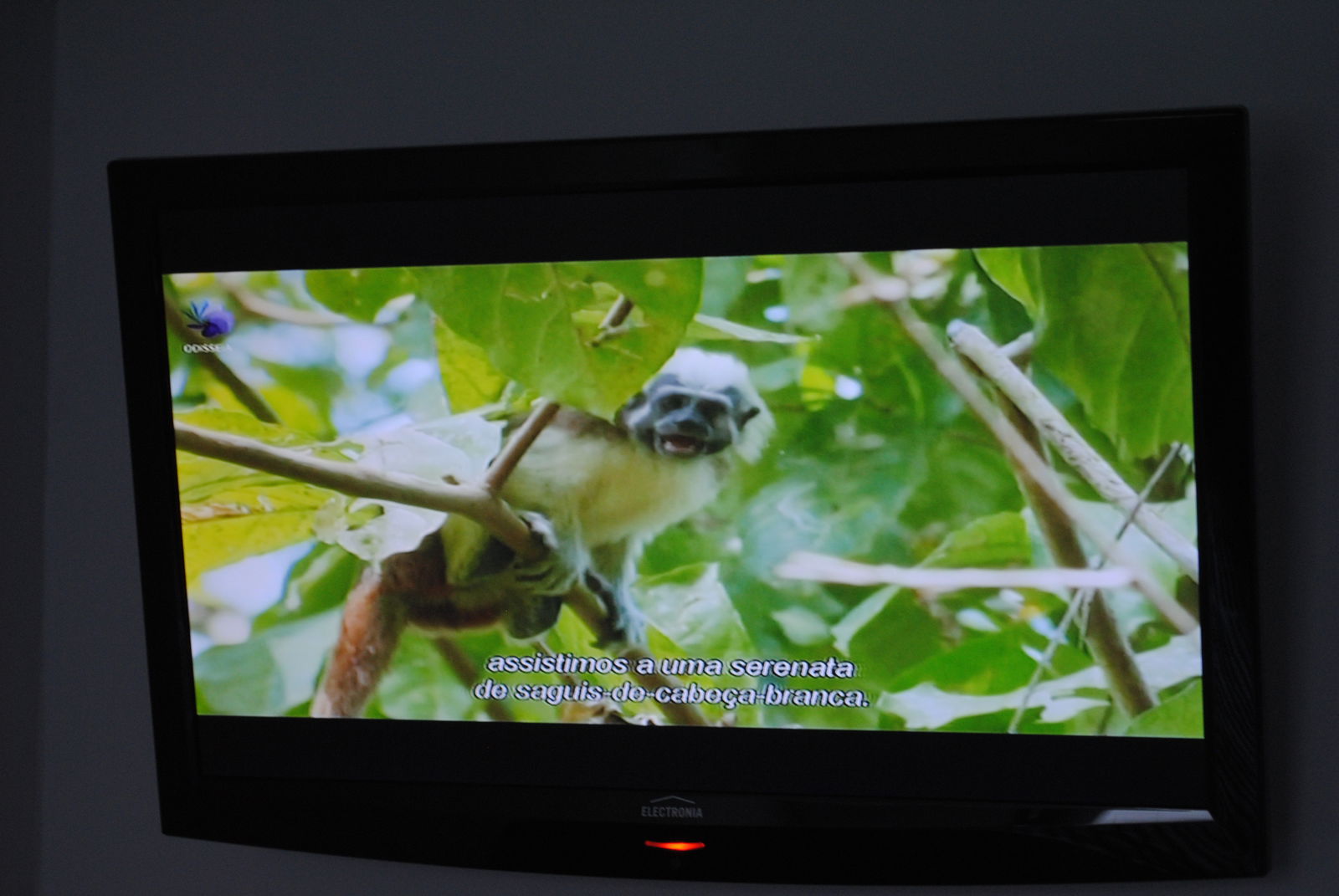 Gastfamilie Sra. da Hora 343770