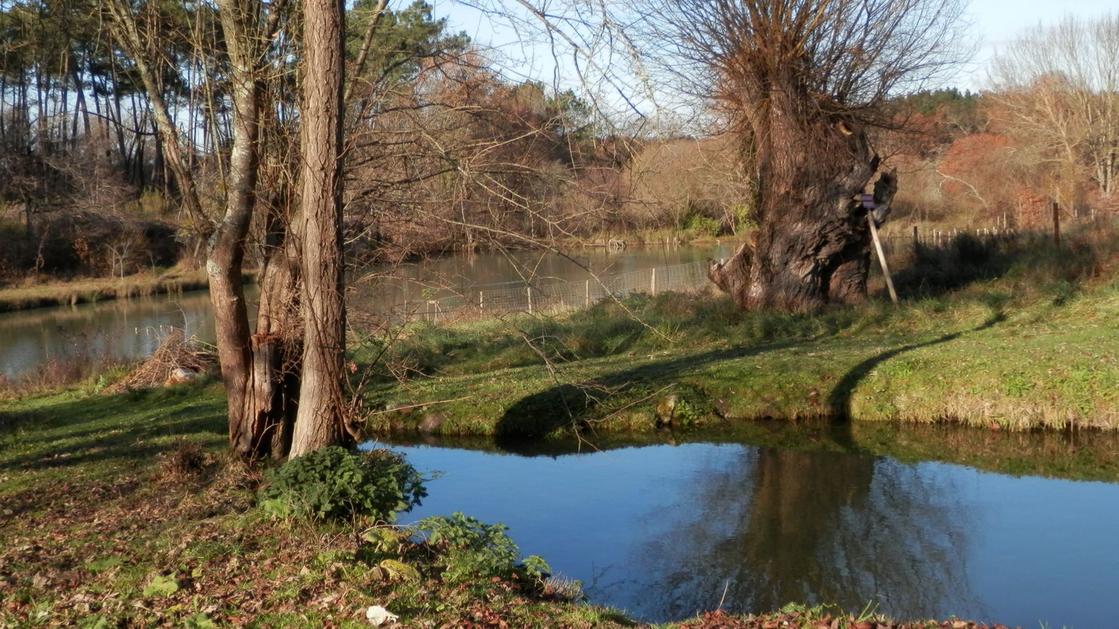 Unabhängiges Studio Saint-Méard-de-Gurçon 262105