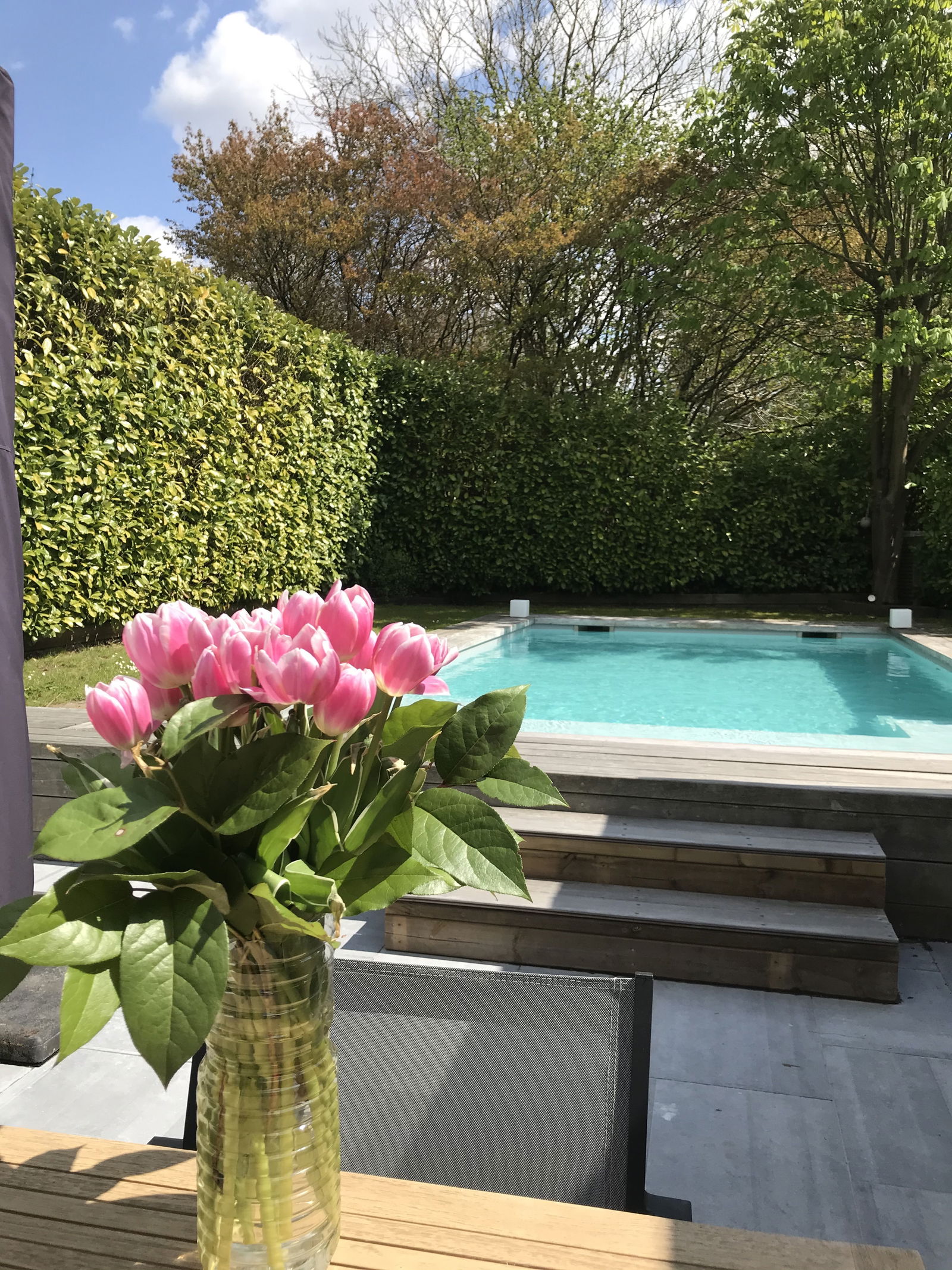 Unabhängiges Studio Lasne 260259