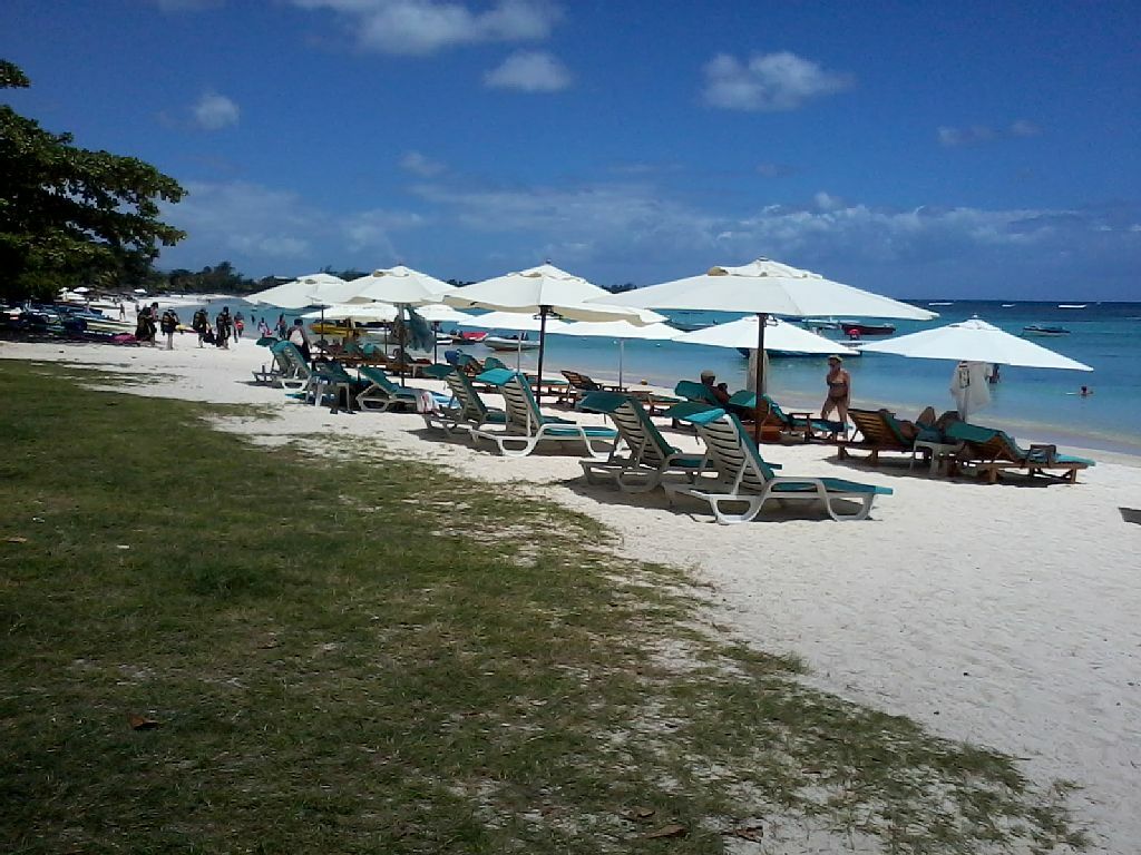 Unabhängiges Studio Pamplemousses District 157017