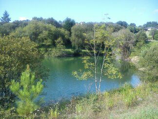 Unabhängiges Studio Mungia 176161