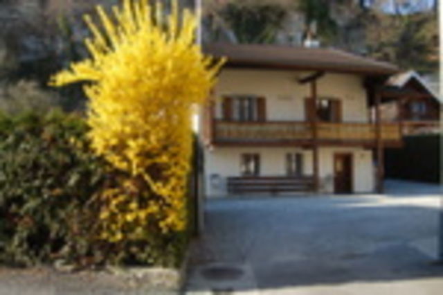 Unabhängiges Studio Bex 51698