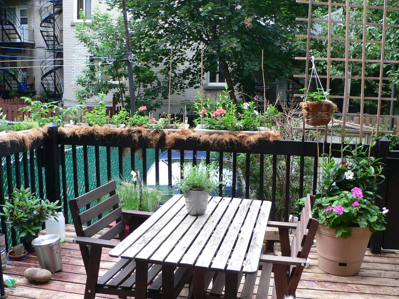 Kolokation Montréal 110956