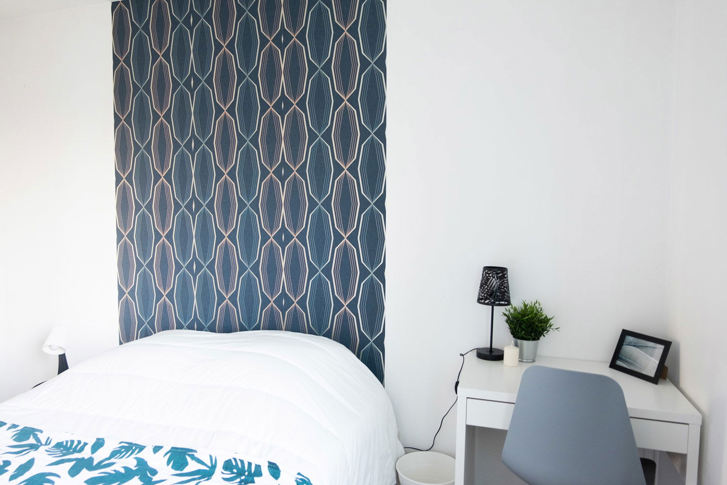 Kolokation Vénissieux 265543