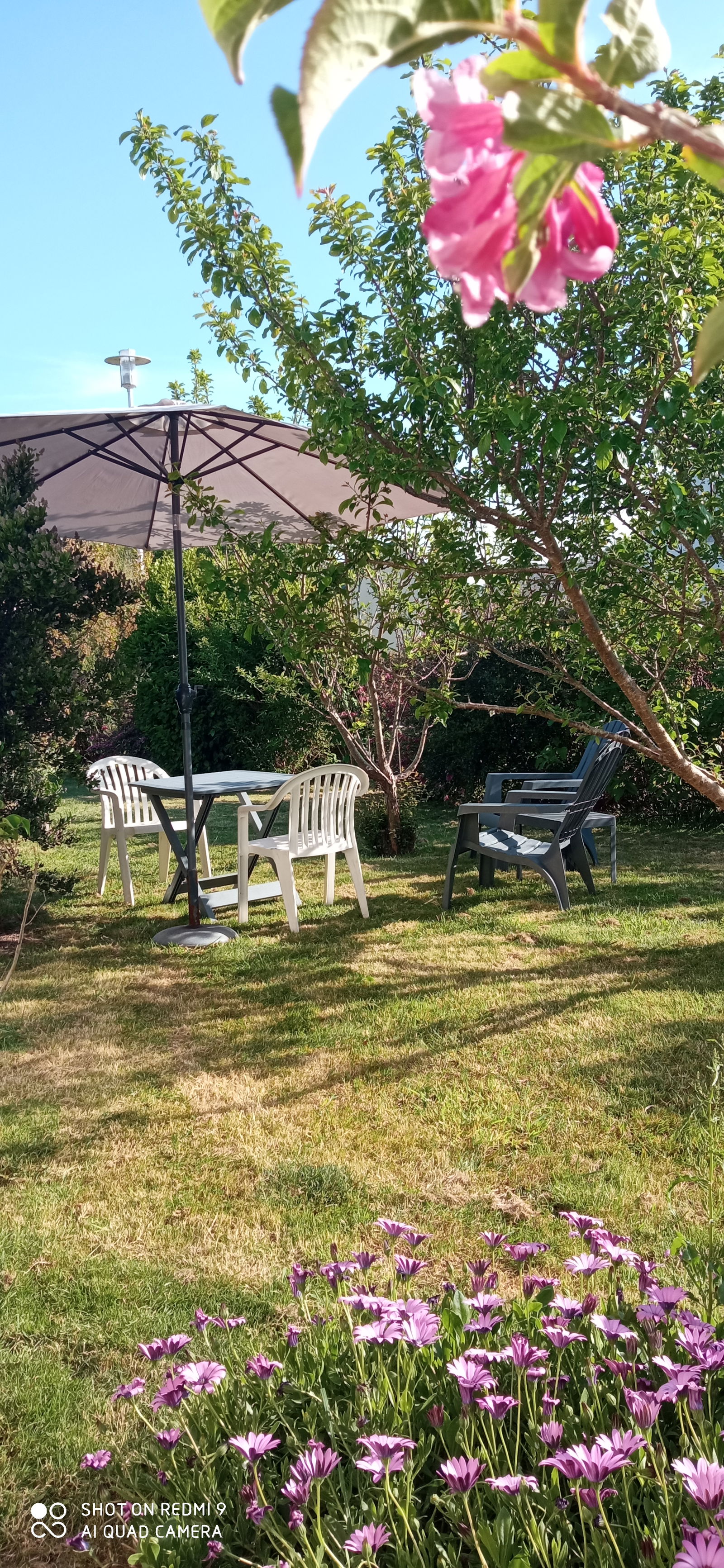 Gastfamilie Pont-l'Abbé 164411