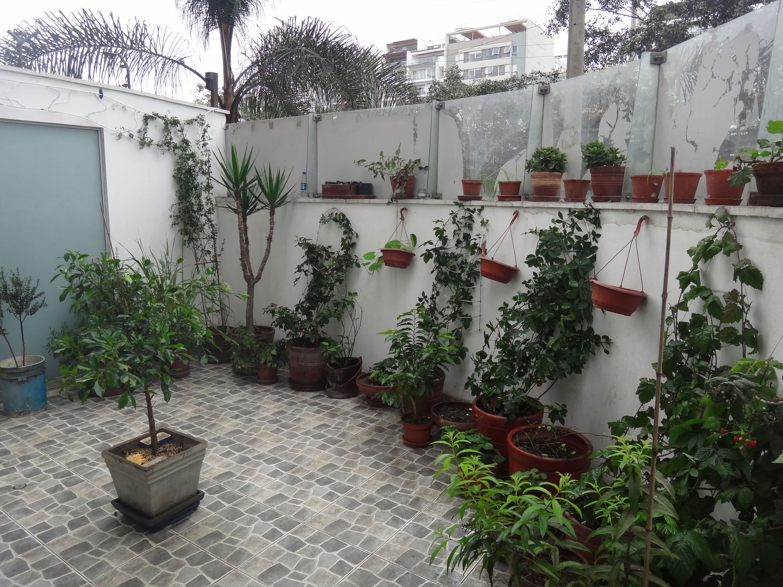 Gastfamilie Santiago de Surco 226324