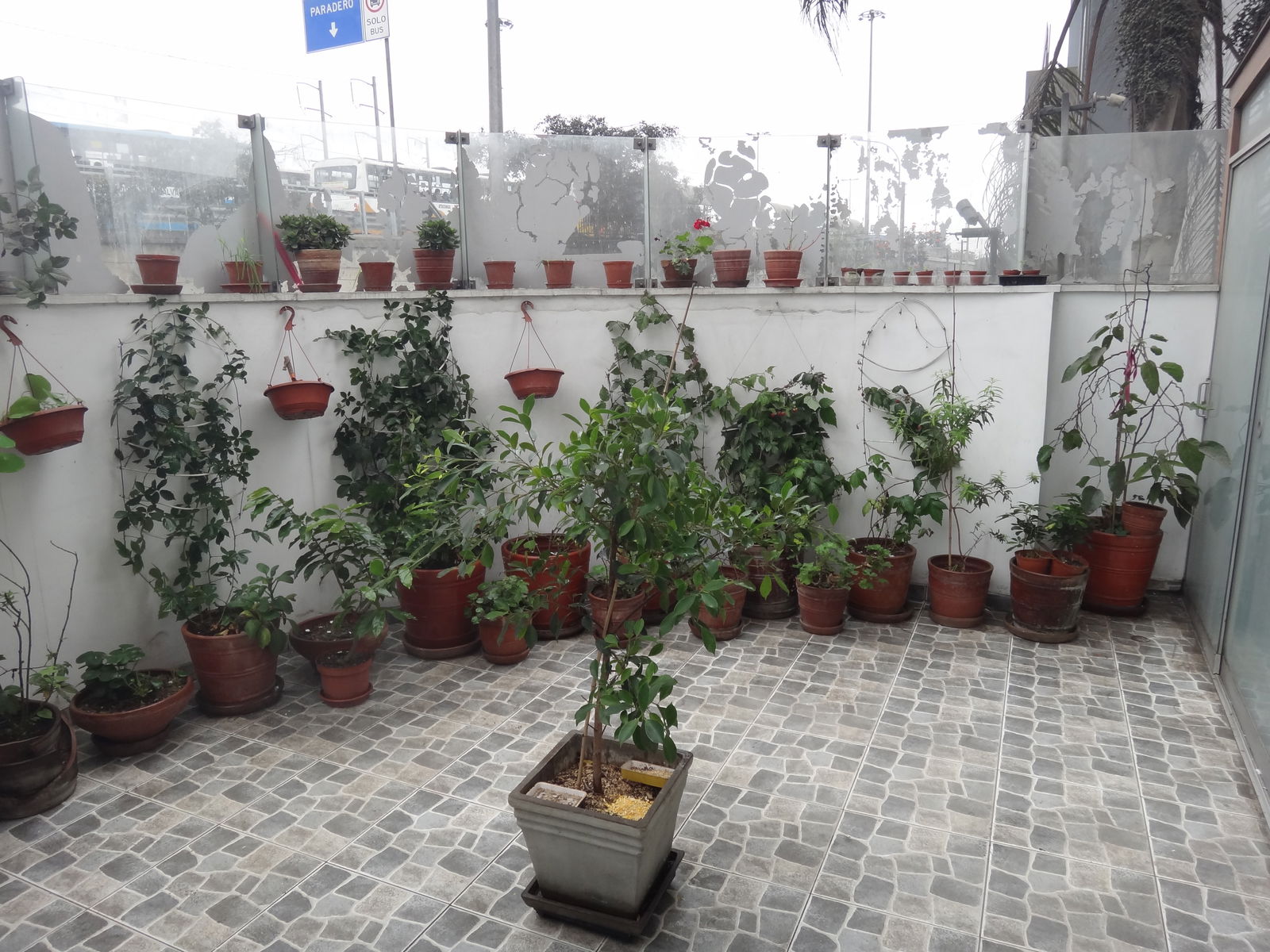 Gastfamilie Santiago de Surco 226324