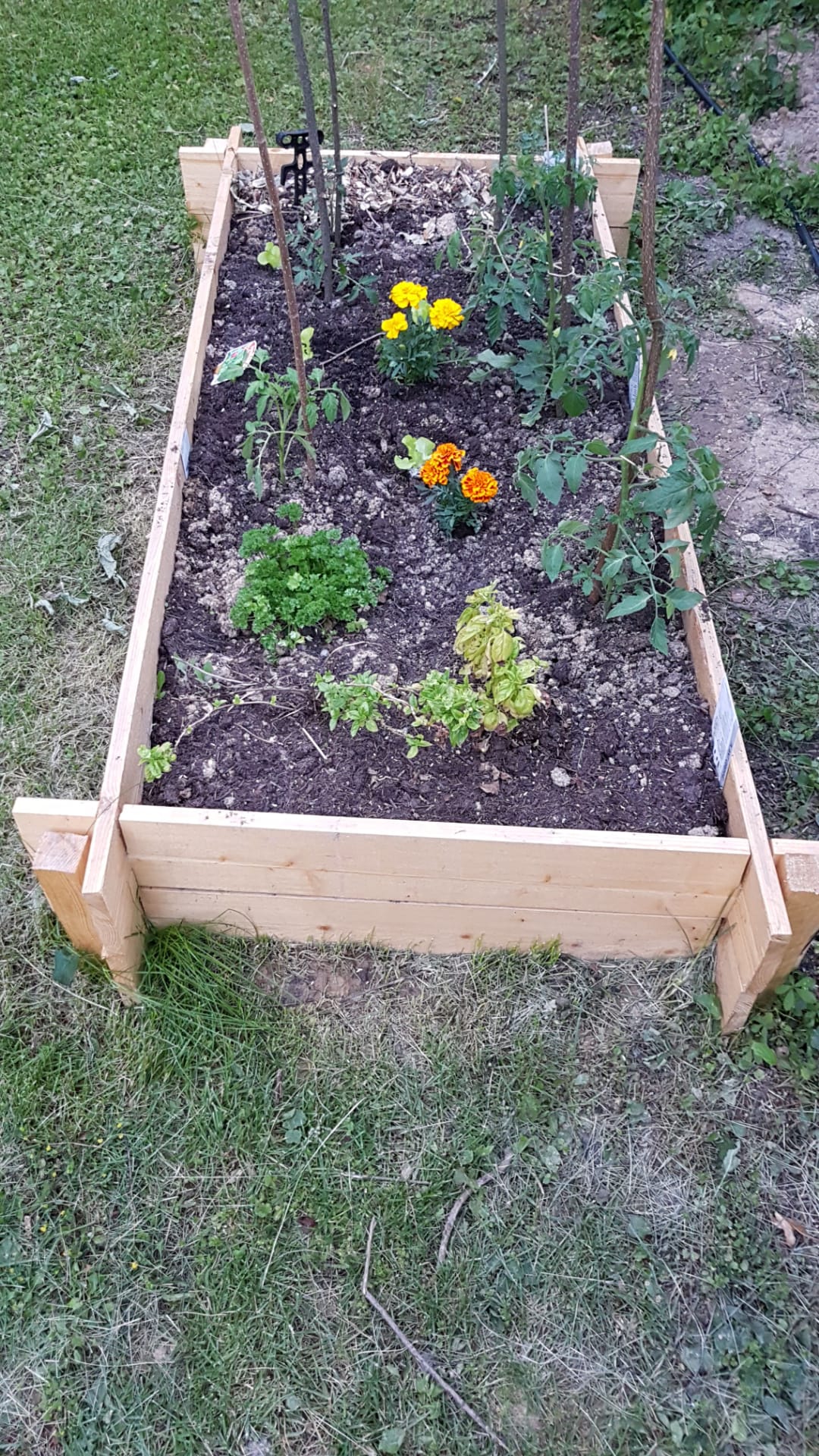 Gastfamilie Vernier 652804