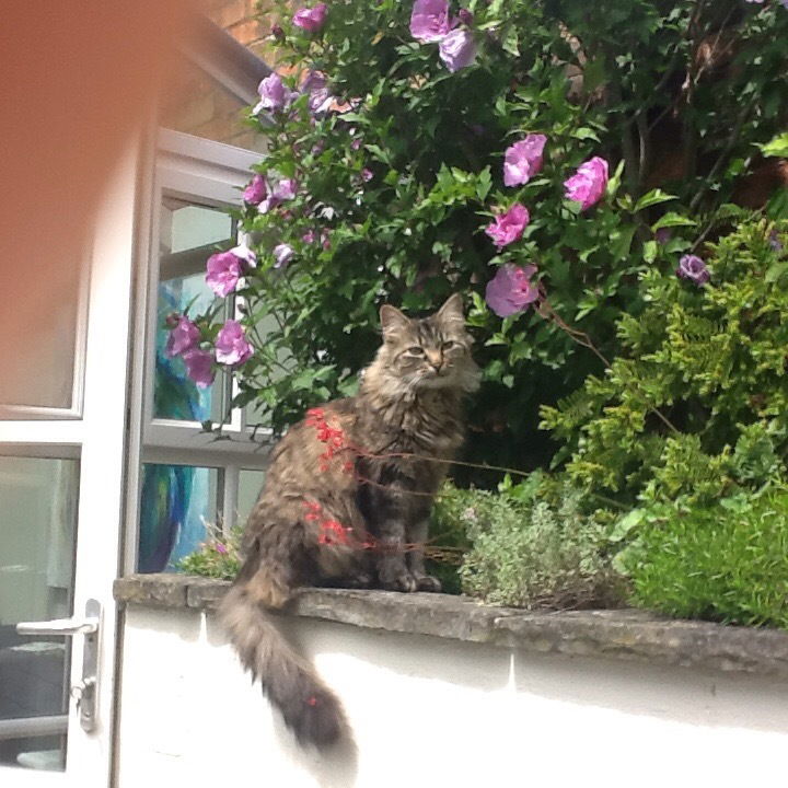 Gastfamilie Lowdham 206028